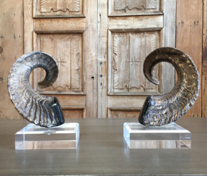 Cuerno de carnero decorativo Shofar Color Natural Base acrílica de alta calidad para decoración del hogar Artesanía Cuerno de carnero natural Cuerno de oveja - Product Image 2