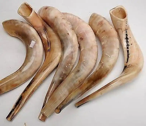อุปกรณ์สวดมนต์พิธีทำมือทำจากธรรมชาติทำมือรูปเขาแกะขัดเงาแบบพรีเมี่ยมโดยบริษัท neha นมัสการทางจิตวิญญาณ - Product Image 2