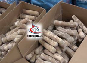 Juguete Masticable para Perros de Madera de Café, con Sonido, Novedoso, Duradero, Natural y Ecológico, para Marcas de Mascotas, Marca Privada - Product Image 5