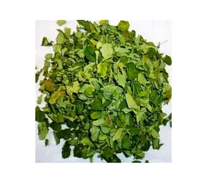 Daun Moringa kering kaya akan antioksidan dan daun Moringa Vitamin imun daun Moringa kering Oleifera daun produsen dari Indi