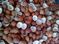 Gedroogde kokosnoot halve schelp copra, eetbaar, 65% oliegehalte, zoete smaak, watergeconserveerd, AD-drogen, vacuüm verpakt, bulk levering India