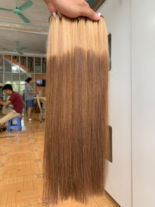 ผมตรงแบบ Bone Straight สีออมเบร 613 สีบลอนด์น้ำตาล  แบบเส้นต่อผมเวียดนามแท้  แบบ Double Drawn ผมตรงเนียนนุ่ม  ต่อผมแท้ - Product Image 2