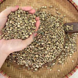 Granos de café vietnamitas Granos de café Tamaño 16 Origen de Vietnam Buen precio Granos de café verde Arábica 12.5% Humedad Alta Tasa de maduración - Product Image 2