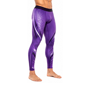 Leggings de compression sportifs pour hommes, pantalons d'entraînement personnalisés pour la gym, évacuation de l'humidité, course à pied, fitness, vente en gros, fournisseur OEM - Product Image 5