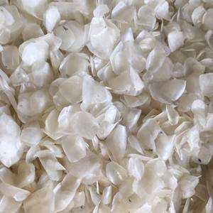 La opción perfecta para usar escamas de pescado que producen colágeno, gelatina y productos farmacéuticos a granel para la belleza - Product Image 2