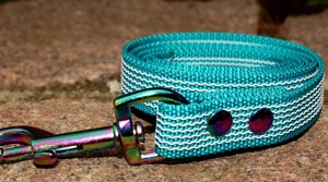 Correa para Perro, Correa de Goma para Perro, Correa de Entrenamiento, Correa Deportiva para Perro, Correa Arcoíris para Perro, Entrenamiento Canino - Product Image 3