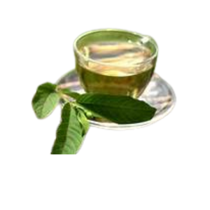 Oferta Especial: Flor de Guayaba Seca Natural en Bolsa de Papel Kraft de 50 kg, Origen Vietnam, Proveedor Comercial Directo, Venta al Por Mayor - Product Image 1