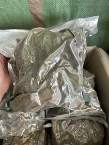 Hojas de Guanábana Secas Sin Azufre, Graviola de Primera Calidad para el Mercado Europeo y Estadounidense, Proveedor al por Mayor - Product Image 5