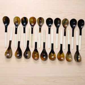 Cuchara de cuerno natural hecha a mano con mango de hueso, cuchara rústica para mesa, para uso en comedor y cocina al mejor precio - Product Image 1