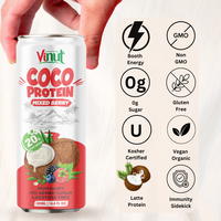 Lait protéiné de noix de coco baies mélangées 330ml VINUT Vietnam Fabrication 20g Prix de gros de protéines Échantillon gratuit Marque privée OEMODM