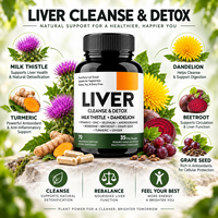 Complément hépatique au Chardon-Marie, Pissenlit, Curcuma, Gingembre, Berbérine – Mélange Herbal – 70 Capsules Végétariennes – Vente en Gros, Marque Privée, OEM, ODM