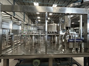 Máquina Automática Eléctrica de Enjuague, Llenado y Tapado para Botellas de Plástico de Agua Pura de 200 ml, 14400 Botellas/Hora - Product Image 6