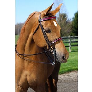 Luxury Leather Horse Bridle Gold Coloured <b>Fittings</b> Adjustable Noseband and Cheek Strap in <b>Black</b> on Both Sides - Product Image 2