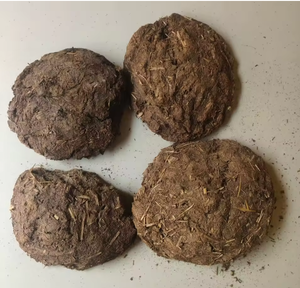 HIGH MICRONUTRIENTS CONTENT COW DUNG Vermicompost <b>POWDER</b> NPK Fertilizer soil for Europe - Product Image 2