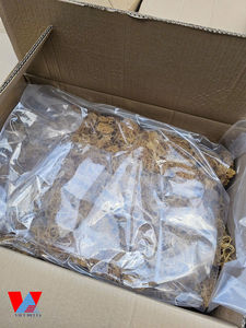 <b>Golden</b> <b>Sea</b> <b>Moss</b> Pure Natural <b>Sea</b> <b>Moss</b> Dried Fresh Whole No Chemicals Wildcrafted Sun-Dried Vegan Superfood/ Ms. Lima - Product Image 4