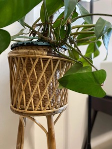 Tall Rattan Planter <b>Stand</b> For Indoor Plants Home Corner Balcony Garden Decorative Flower <b>Pot</b> Holder Boho Floor Decor From India - Product Image 3