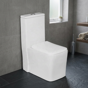 WC monobloc en céramique blanc à double chasse Vistaar Brand Wholesale NOM Standard - Product Image 3