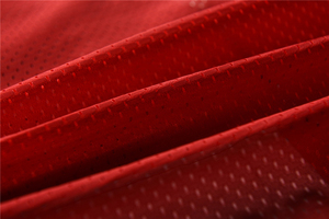 Chaleco de Seguridad Casual sin Mangas con Cuello Alto, Reversible, Impermeable, Transpirable, de Secado Rápido, con Logotipo Personalizado Impreso al por Mayor para Otoño - Product Image 5