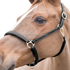 Top qualité Original anglais selle cuir cheval licou Double couture et rembourrage en laiton massif matériel course de chevaux licou - Product Image 1