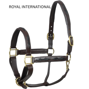 Cabestro para Caballo Royal International Premium, Acolchado, de Cuero Genuino con Detalles en Latón |   Collarín Ajustable para Caballos, Equipo Ecuestre para Establos - Product Image 1