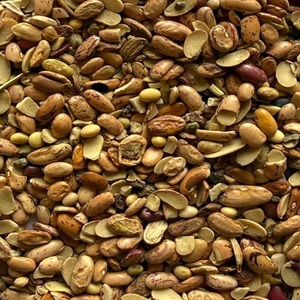 Frijoles Rajma Naturales de la Mejor Calidad, Grado Rejection, Suministro a Granel para Molienda y Uso Industrial, Disponibles a Buen Precio - Product Image 1