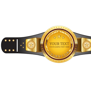 Cinturón de Campeonato Personalizable, Cinturón de Lucha Libre Dorado con Espacio para Texto Personalizado, Correa Negra de Alta Calidad y Diseño de Estrella - Product Image 5