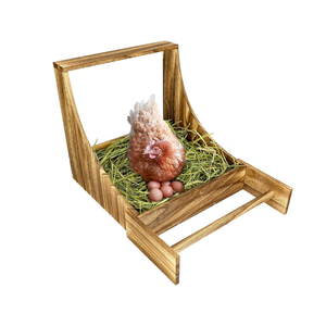 Caja de Nidificación de Madera Duradera de Alta Calidad para Gallinas, Nidos Individuales para Gallinas y Patos de Vietnam - Product Image 1