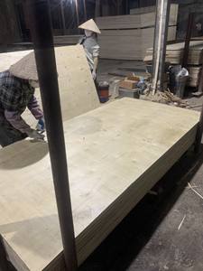 Palets de Cartón y Madera Contrachapada Encolados, Libres de Fumigación, Acceso para Montacargas de Cuatro Vías, Palets para Transporte y Logística de Exportación - Product Image 6