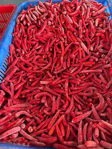 Piment et poivron crus surgelés IQF du Delta du Vietnam 1kg Couleur rouge naturelle Durée de conservation de 12 mois - Mme Diana - Product Image 1