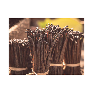 Gousses de vanille en gros - Gousses de vanille entières de qualité supérieure, 16,5 cm de long - Product Image 2