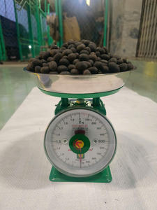 Venta al por mayor RTS Semillas de loto secas vietnamitas Bonito color Tamaño grande Servicio OEM para compradores agrícolas globales - Product Image 5