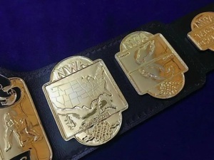Ceinture de championnat NWA TAG TEAM MMA personnalisée, 0,5 cm, alliage de zinc, légère, taille haute, 1,2 m de longueur, unisexe, 1 pièce - Product Image 2