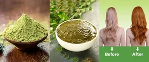Poudre de feuilles de henné bio premium, teinture naturelle pour cheveux et art corporel, origine indienne, qualité export, 500 grammes - Product Image 6