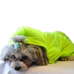Impermeable Ajustable con Cremallera para Perros, Plegable, para Viajes, Ropa para Mascotas Thunder Paw - Product Image 6