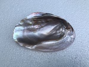 Assiettes/Plats de fête en nacre rose - Product Image 2