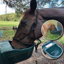 Abreuvoirs automatiques pour <span class=keywords><strong>chevaux</strong></span> - Product Image 2