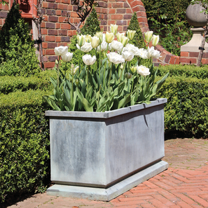 Golden Metal Planters Set With Leafy Green <b>Plant</b> In One Bowl Style Decorative Containers For Indoor Outdoor Use - Product Image 4