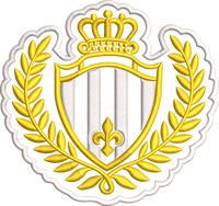 Écussons brodés personnalisés à coudre et à repasser – Badge brodé personnalisé de la Division Athlétique des États-Unis