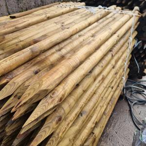 Postes de Madera al por Mayor para Construcción, Pilares de Madera Dura, Troncos de Eucalipto Aserrados en Bruto, Exportación Directa de Fábrica - Product Image 4