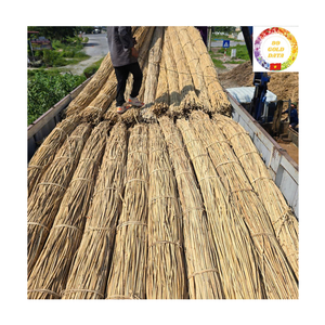 Raw Rattan Cane | Natural Vietnam Export Poles for Furniture <b>Frame</b> & Craft Industry - Product Image 4