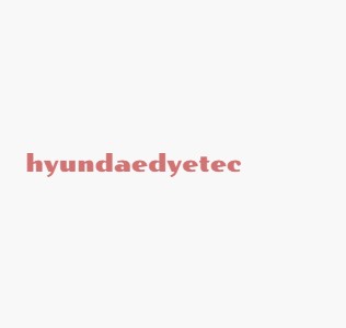 HYUNDAE DYE TEX CO.LTD logo