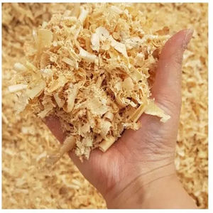 Virutas de madera de pino / Aserrín / Astillas de madera EN VENTA PARA NUEVOS MERCADOS - Product Image 1