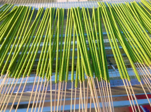 Varillas de Incienso de Hoja de Eucalipto, Aroma Natural para Control de Mosquitos y Uso Doméstico - Product Image 4