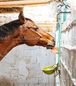 หินเลีย10-15กก. เกลือธรรมชาติทำด้วยมือจากสัตว์หิมาลัย - Product Image 5