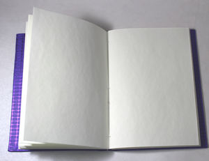 Agenda de Negocios Personalizada, Papel Reciclado Hecho a Mano de Alta Calidad con Cubierta con Relieve Azul Metálico - Product Image 3