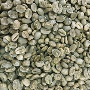 Grains de café vert Arabica biologique de haute qualité S16 du Vietnam, certifiés USDA, fournisseur d'exportation directe, MOQ flexible - Product Image 1