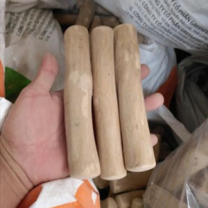 ไม้เคี้ยวสำหรับสุนัข ทำจากไม้กาแฟ แข็งแรง ทนทาน เป็นธรรมชาติ ออร์แกนิค ของเล่นสุนัขแบบคลาสสิก เหมาะสำหรับสุนัขที่ชอบเคี้ยวแรง พันธุ์ใหญ่ - Product Image 4