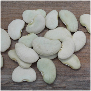 Best Quality Lima <b>Beans</b> For Sale - Product Image 2