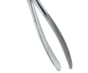 ARISTON INTERNATIONAL Forceps d'extraction dentaire manuels en acier inoxydable de haute qualité, forceps d'extraction pédiatriques Cowhorn CE - Product Image 3