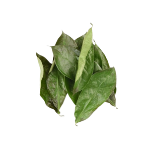 High Quality Dried Soursop Leaves Bulk Supply Manufacturer - Product Image 3
